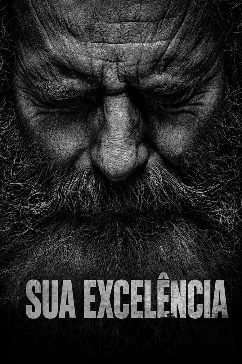 Sua Excelência