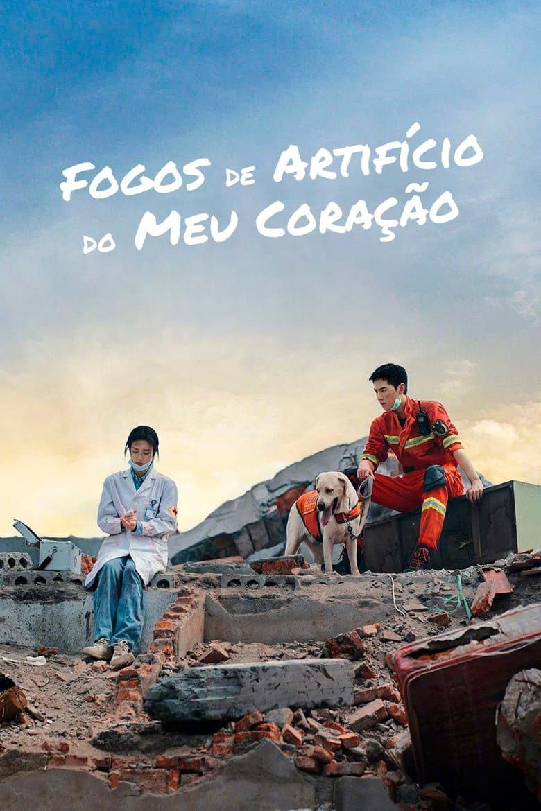 Fogos de Artifício do Meu Coração