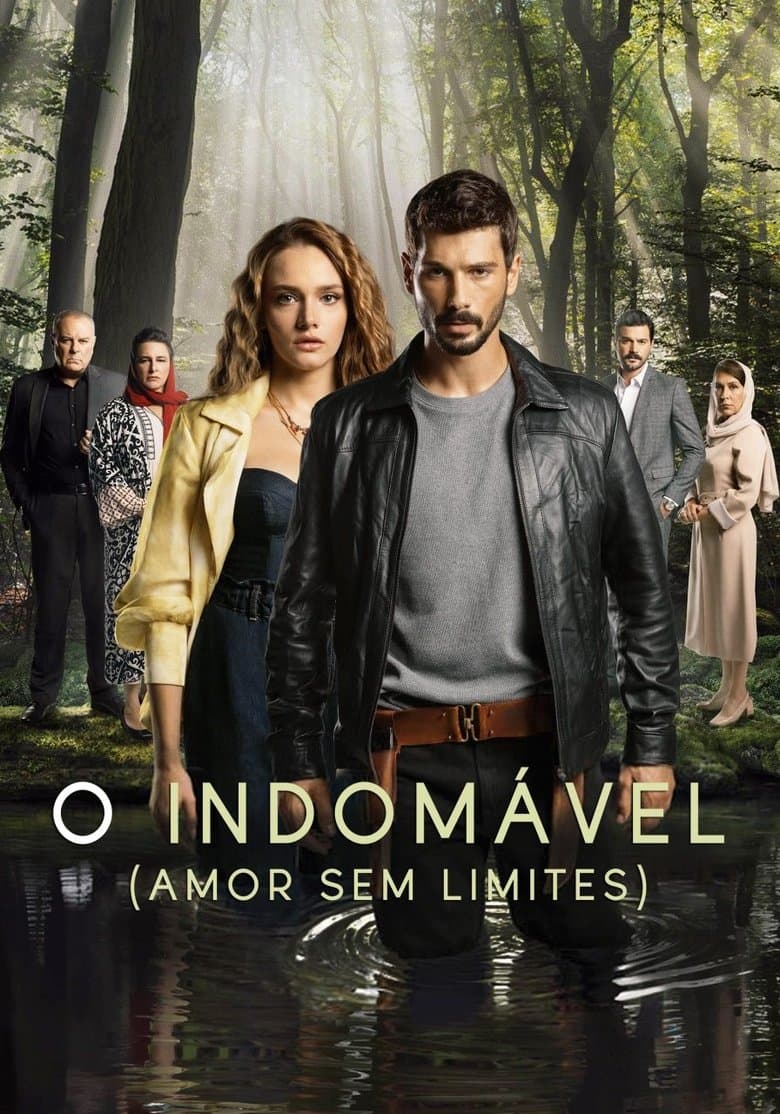 Amor Sem Limites