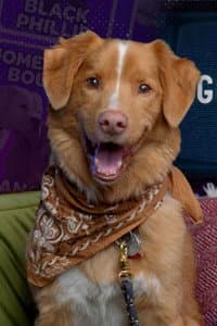 Indy