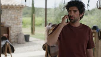 Episódio 206