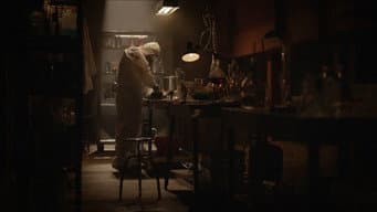 Episódio 224
