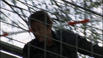 Episódio 4
