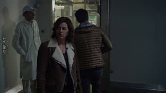 Episódio 15