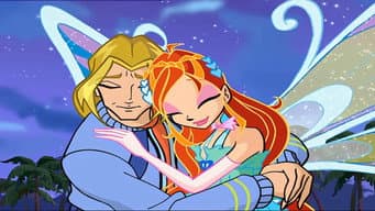 Amor & Pet