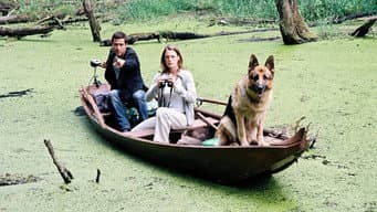 Episódio 6