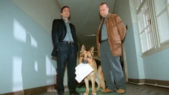 Episódio 4