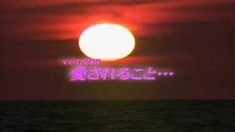 Episódio 213