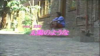 Episódio 219