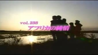 Episódio 238