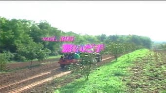 Episódio 305