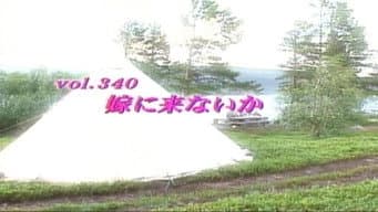 Episódio 340