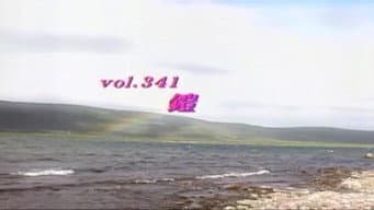 Episódio 341