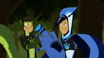 O Azul e o Cinzento