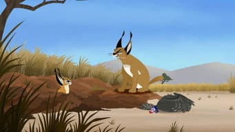 O Caracal