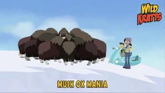 Episódio 24