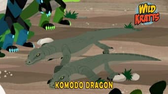 Episódio 13