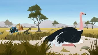 Episódio 14