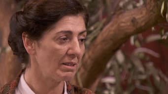 Episódio 66