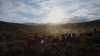 Episódio 5