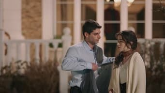 Episódio 31