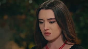 Episódio 41