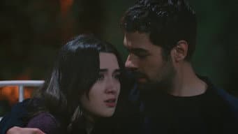Episódio 52