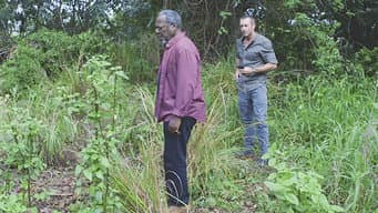 Aohe Mea Make I Ka Hewa; Make No I Ka Mihi Ole