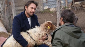 Episódio 5