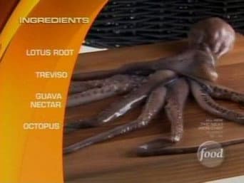 Episódio 10