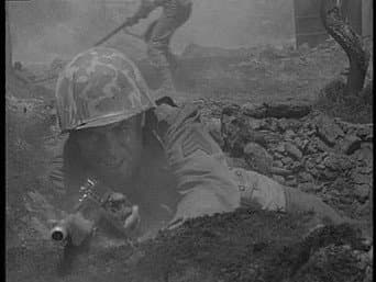 Episódio 7