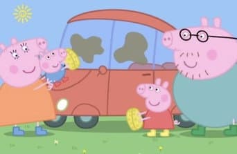 Limpando o carro