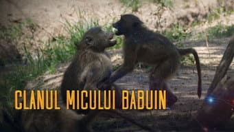 Episódio 20