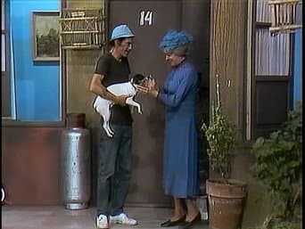 O cãozinho da Bruxa do 71
