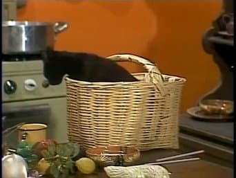 Os gatinhos de Chaves