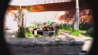 Episódio 386
