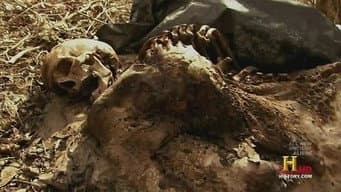 Alienígenas e os Lugares Malígnos