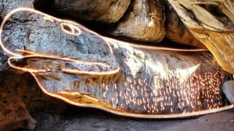Alienígenas e Dinossauros
