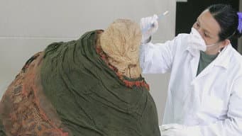 Evolução Alienígena