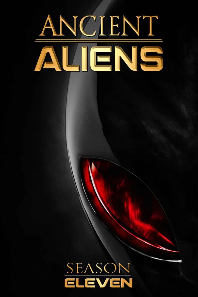 Temporada 11