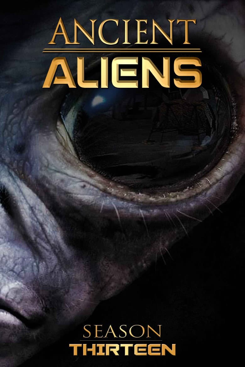 Temporada 13