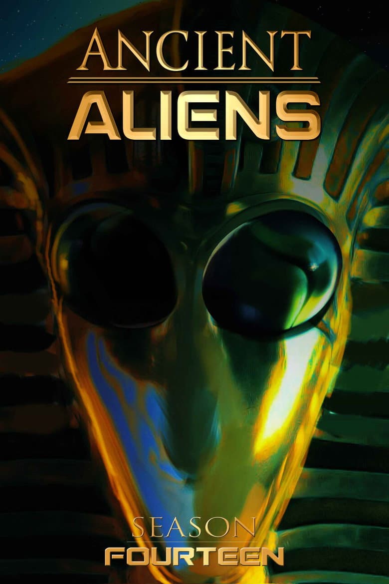 Temporada 14