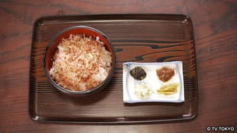 Episódio 3
