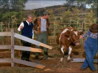 Episódio 19