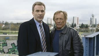 Episódio 8