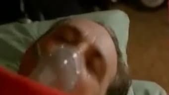 Episódio 17