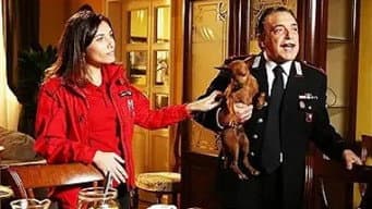Episódio 15