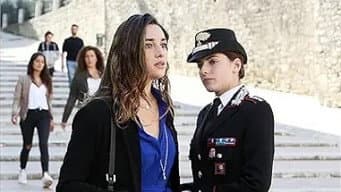 Episódio 17