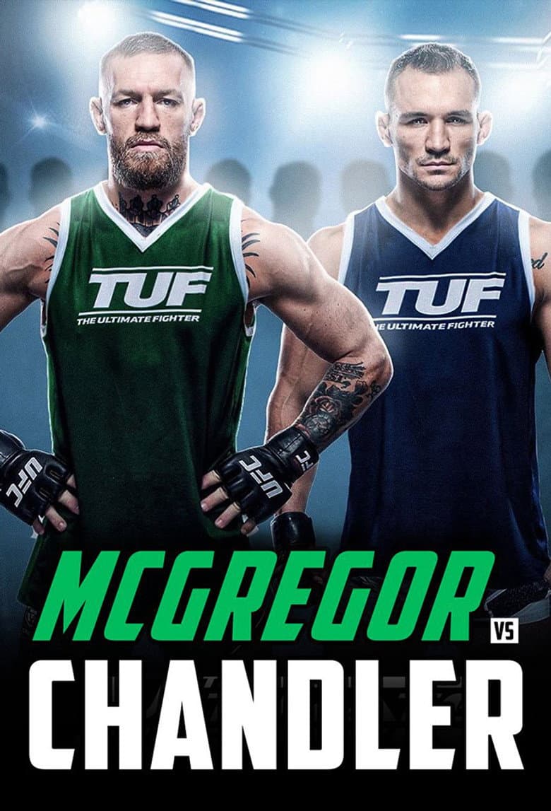 Temporada 31