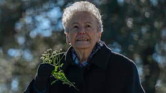 Episódio 11